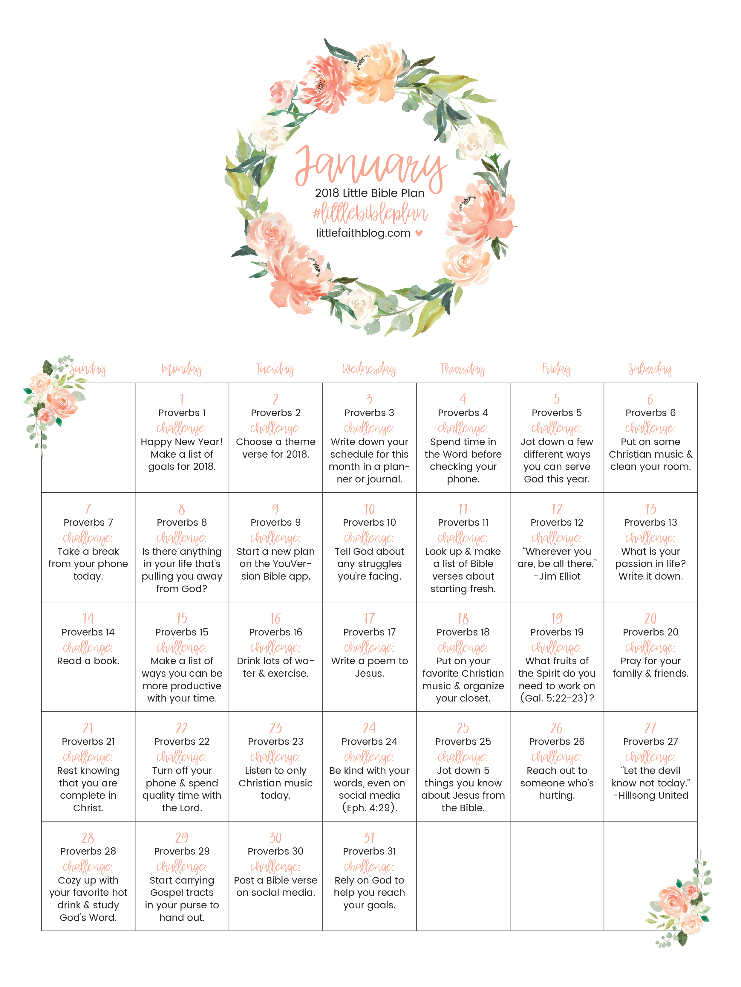 Bible Reading Chart 2018